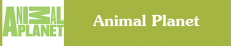 Смотреть канал Animal Planet онлайн через торрент стрим