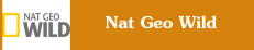 Смотреть канал Nat Geo Wild онлайн через торрент стрим