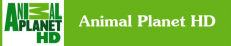 Смотреть канал Animal Planet HD онлайн через торрент стрим