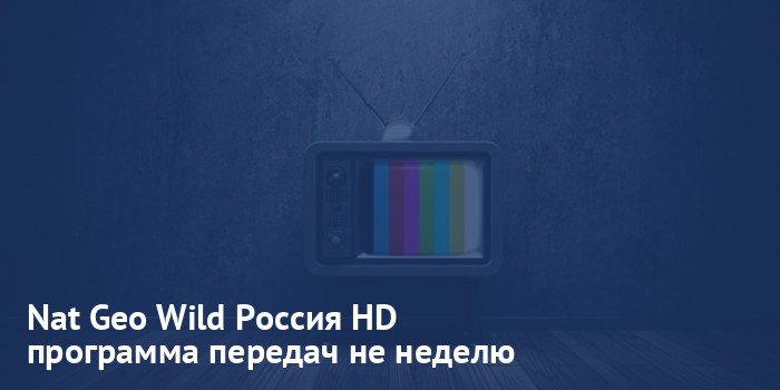 Nat Geo Wild Россия HD - программа передач на неделю