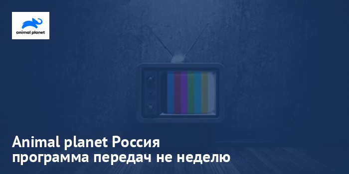 Animal planet Россия - программа передач на неделю